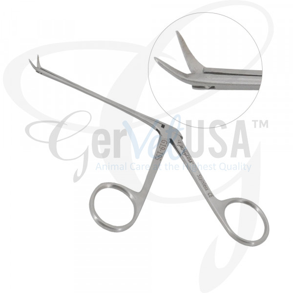 Bellucci Micro Ear Scissors | GerVetUSA Inc