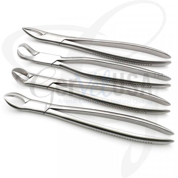 Dental Forceps Set Veterinary GerVetUSA Inc.