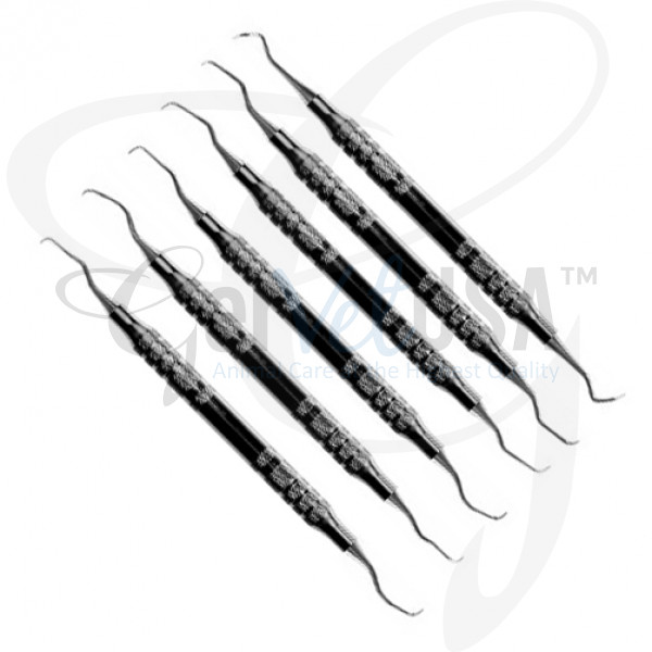 Feline Scaler Curette Kit