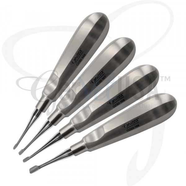 Winged Dental Elevator Set of 4 Straight tip GerVetUSA Inc