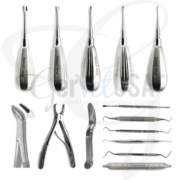 Dental Set - Short Handle