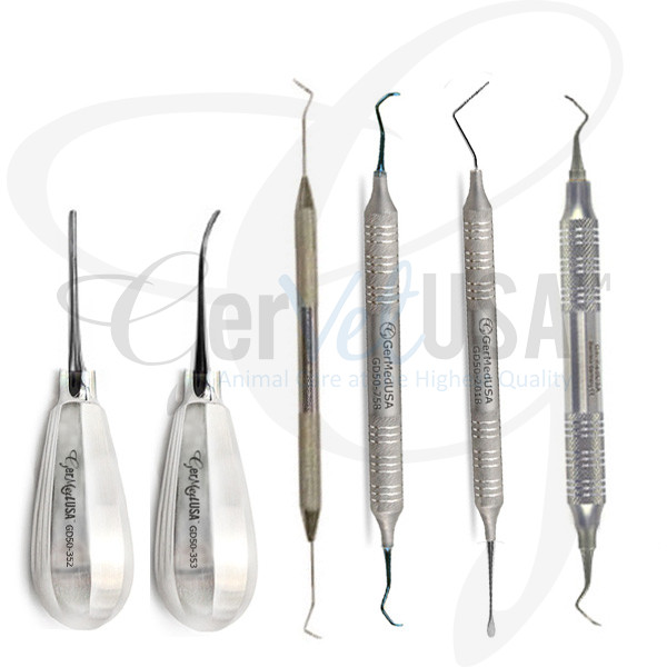 Feline Periodontal Kit