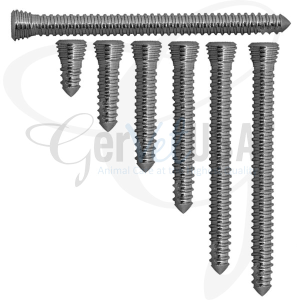 SelfTapping Locking Screw 2.7mm GerVetUSA Inc
