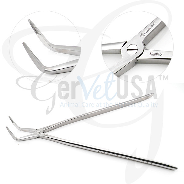 Equine Dental Root Fragment Forceps - Delicate 90°