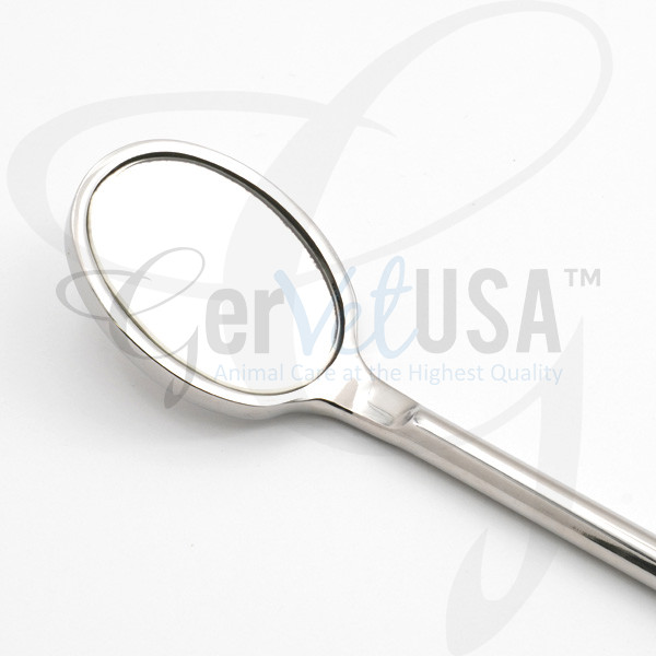 Replacement Mirror, Large Dental Mirror, Equine Dental, Equine Dental