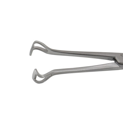 Babcock Intestinal Forceps