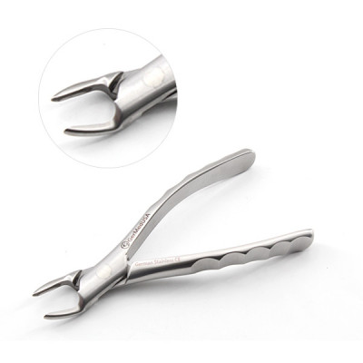 Dental Extraction Forceps