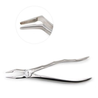 Dental Root Extraction Forceps