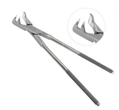 Dental Root Forceps