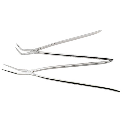 Equine Dental Root Fragment Forceps