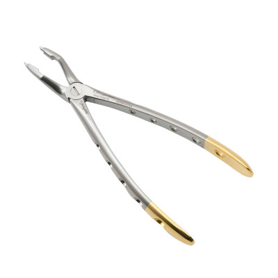 English Pattern Forceps - Roots