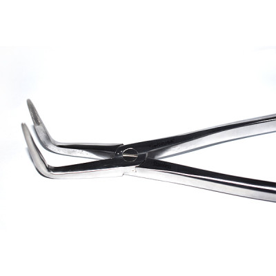 Equine Dental Forceps