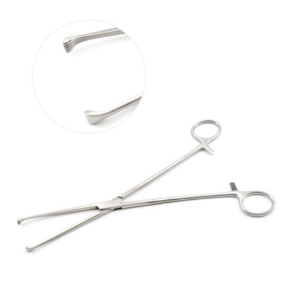 Allis-Willauer Tissue Forceps 5x6 Teeth, 10``