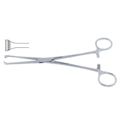 Thoms-Allis Tissue Forceps 6x7 Teeth, 8 inch