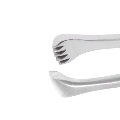Allis Tissue Forceps 4x5 Teeth, 7 1/2"