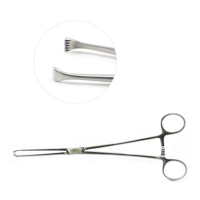 Allis Tissue Forceps 5x6 Teeth, 6"