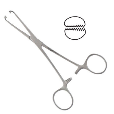 Allis Adair Tissue Forceps 9x10 Teeth, 6"