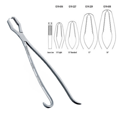 Lane Bone Forceps 13" Light without Ratchet