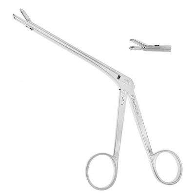 Gruenwald Nasal Punch 4 1/2 inch Shaft  2x10mm Bite