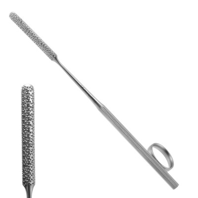 Gallaher Rasp 6 1/2" Coarse Teeth Straight