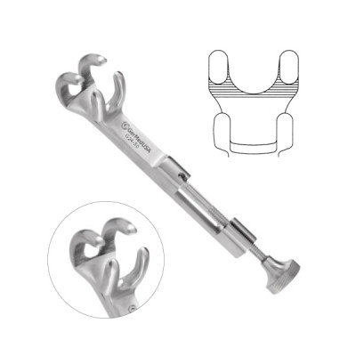 Lambert Lowman Bone Clamp 8 inch 2x2 Jaws 2 1/2 inch Cap