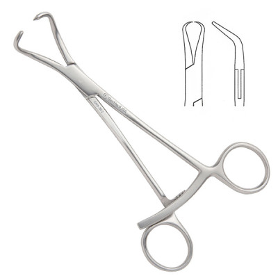 Stagbeetle Forceps 4 3/4"