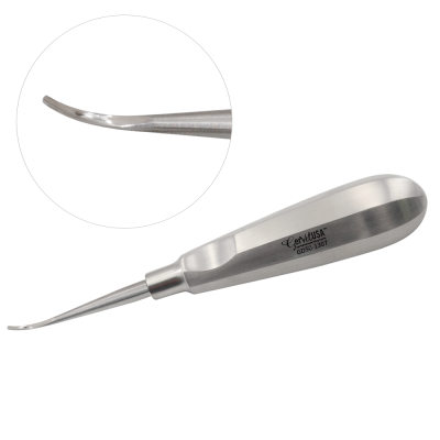 Glux Feline Luxating Root 1.3mm Inside Curved Standard Handle