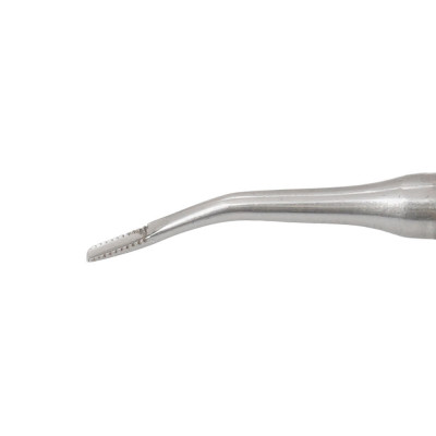 Lindo Levin Elevator No. 4935 Bayonet Serrated