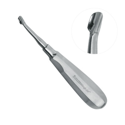 Winged Elevator Tip 8mm 6`` Standard Handle Curved