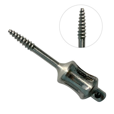 Dental Screws Small 34mm