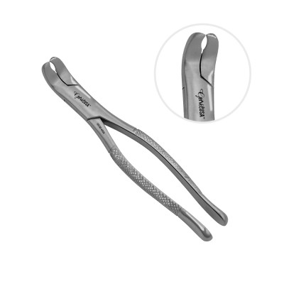 American Forceps, Lower 3rd Molars No. 5