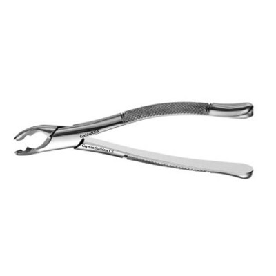 American Forceps, Split Beaks, Upper Premolar