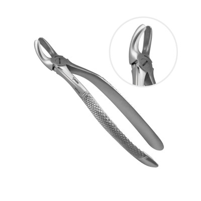 English Extracting Forceps, Upper Wisdom No. 19