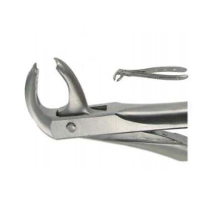 English Extraction Forceps, Hawks Bill, Lower Molars No. 73