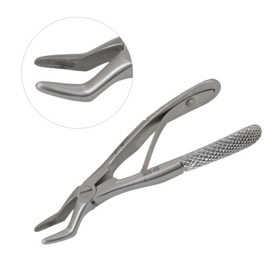 Dental Extracting Forceps A Pedo Upper Molar Universal Serrated