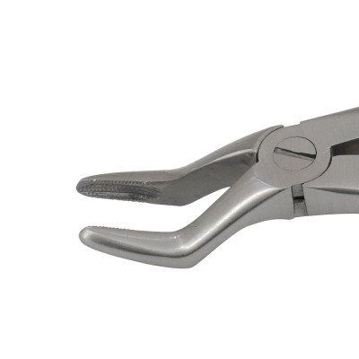 Dental Extracting Forceps A Pedo Upper Molar Universal Serrated