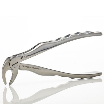 Mini Bird Beak Dental Extraction Forceps