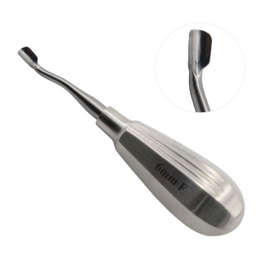 Winged Elevator 5`` Short Handle Tip 6mm Forward Angle