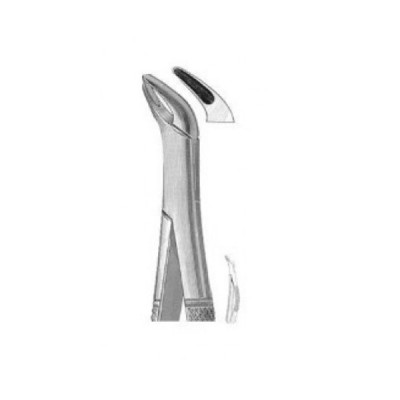 Universal Extracting Dental Forceps 151S