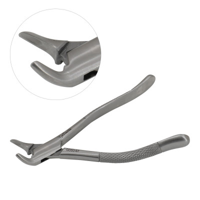 Universal Extracting Dental Forceps 151S