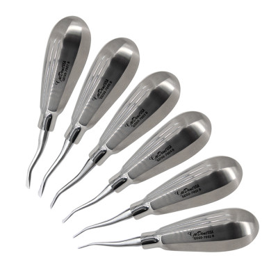 Luxating Elevator Set of 6 Having Subby Handle With Outside Bayonet Tip