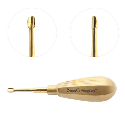 Luxating Winged 5mm Gold