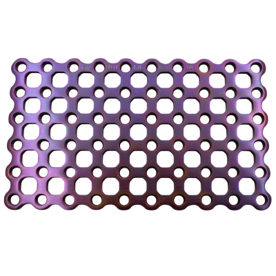 Mesh Locking Plates 46x78mm Size 6x10 Holes 2mm Screws - Purple
