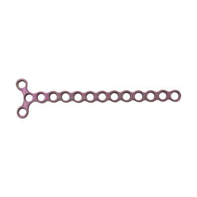 Y Locking Plates 62mm Length 12 Holes 1.5mm Screws - Purple