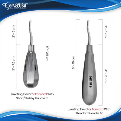 Luxating Elevator Inside Bayonet Standard Handle