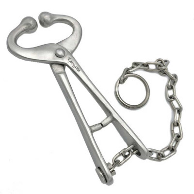 Bull Lead with Chain  no Hooks