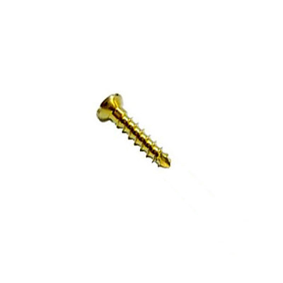 Cortex Bone Screw 2.4mm Length 6mm Self-Tapping Titanium, Cruciform