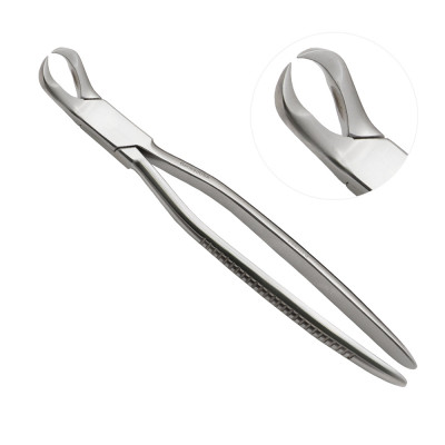 Cow Horned Forceps 10 1/2"