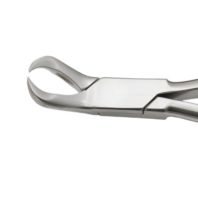 Cow Horned Forceps 10 1/2"