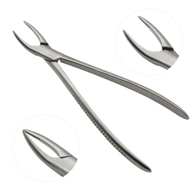 Root Fragment Forceps 13 inch